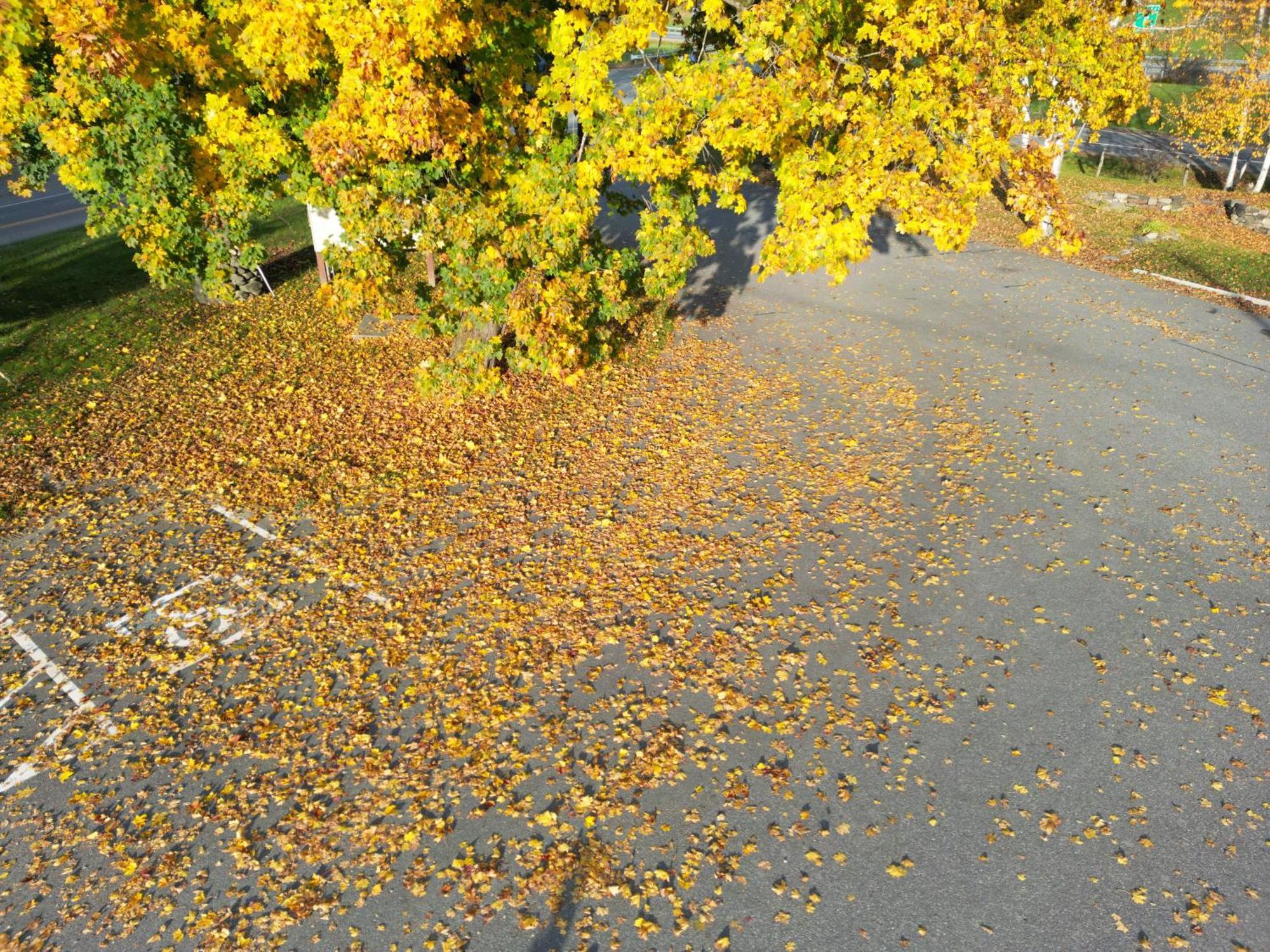 The Putney Inn ภายนอก รูปภาพ